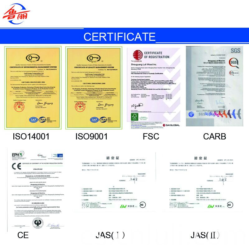 Certificado Certificate